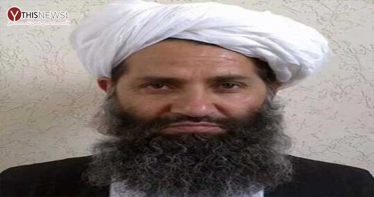 Taliban leader agrees to 7-day reduction of violence