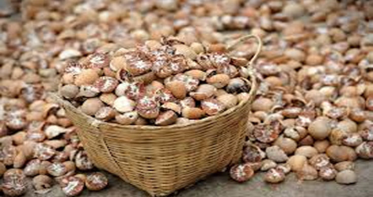 Amid lockdown, betel nuts worth Rs 20 lakh looted in Delhi