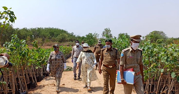 TPCCF inspects plantation sites under CAMPA