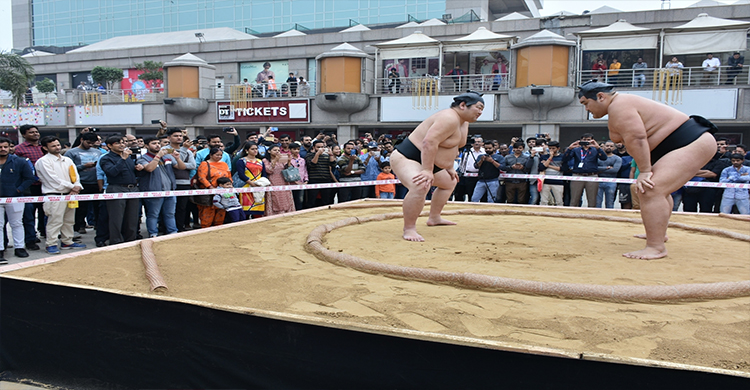 28-year-old Japanese sumo wrestler infected with COVID-19 dies