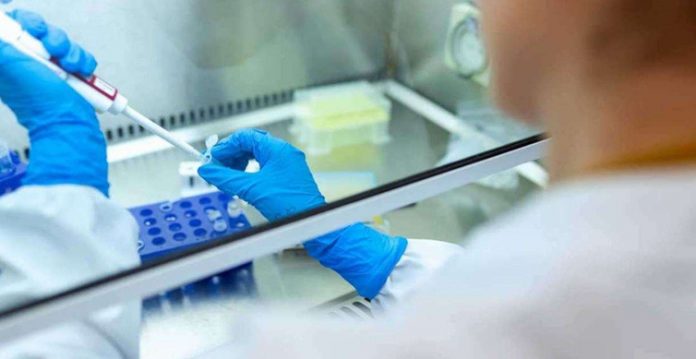 Delhi HC expresses displeasure over decline in RT-PCR tests