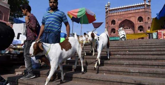 Plea against illegal slaughtering on Bakri Eid withdrawn from Delhi HC