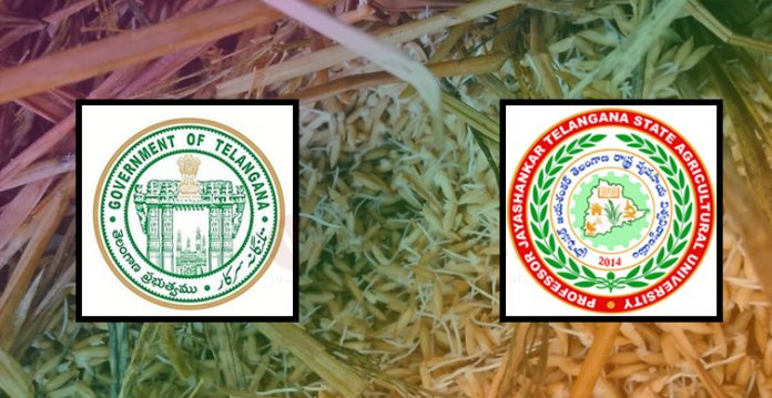 Telangana government and PJTSAU partner with ISB to promote Telangana Sona, Rice Variety