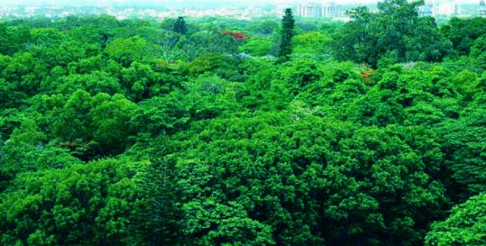 Urban forestry in Telangana