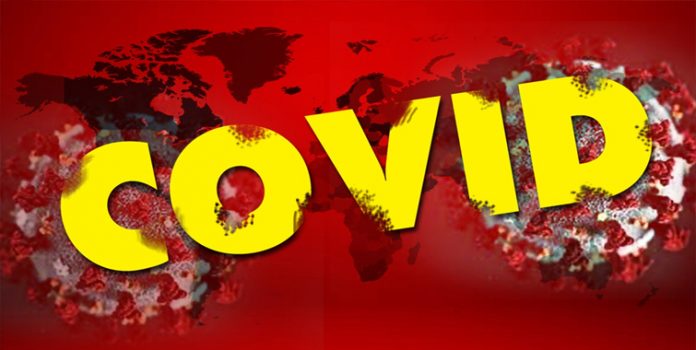 Global coronavirus cases surpass 22 million