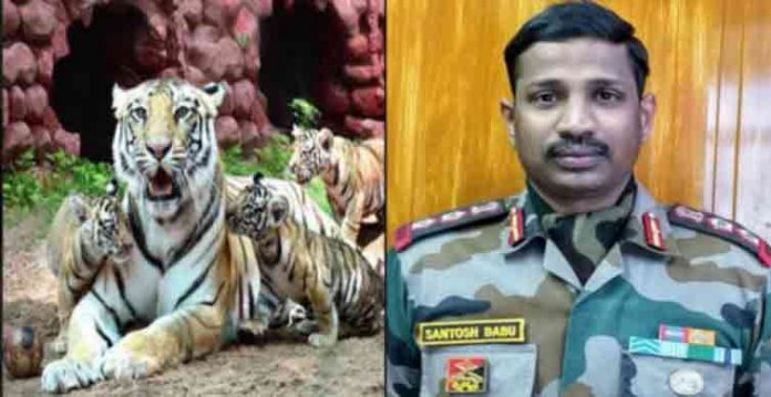 Hyderabad Zoo names tiger cub after Col Santosh Babu