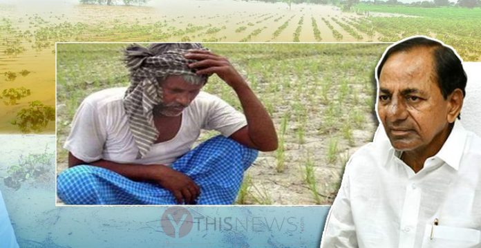 KCR to announce compensation for crops loss: Rajender