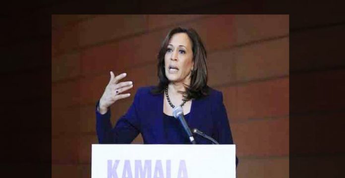 Kamala Harris accepts Democratic VP nomination