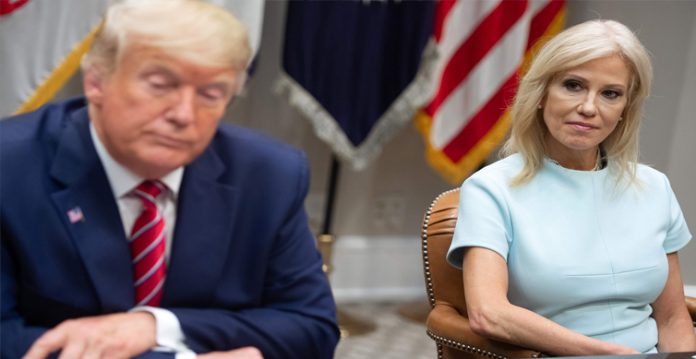 Long-Time Trump Consultant, Kellyanne ventures down