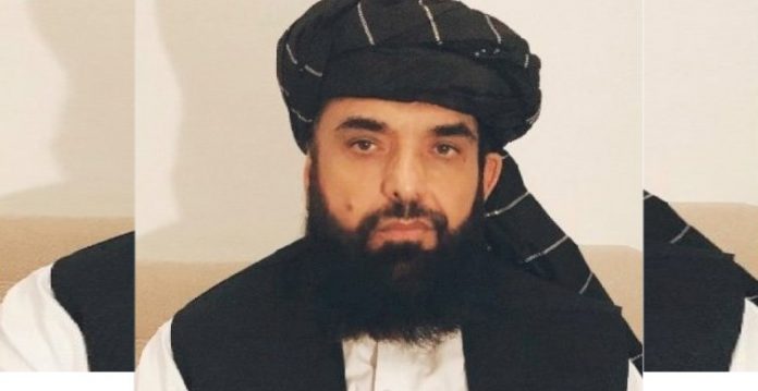 Taliban doesn’t recognize Afghan govt: Statement