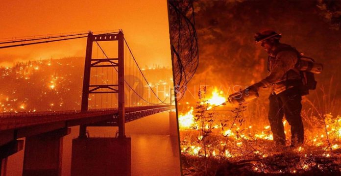 California sees 7,860 fierce fires, Firefighters travel 12 hours north to help