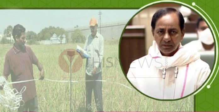 Comprehensive survey will put an end to all problems,KCR