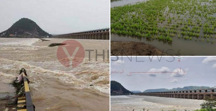 Krishna River Flood in AP's Vijayawada Affected Around 2K Families