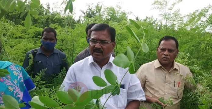 Don't bring Cotton, Paddy to markets: Niranjan on Nivar cyclone effect