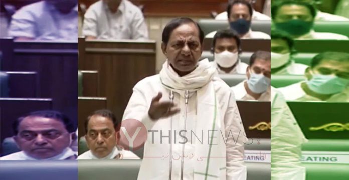 We will give compassionate appointments CM KCR
