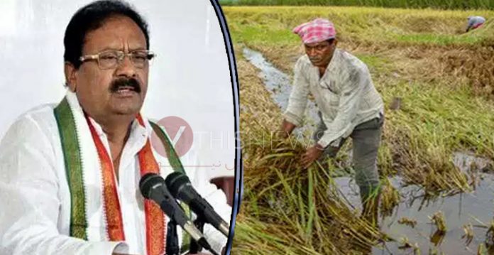 farmersRemove term: Mohammed Ali Shabbir Mohammed Ali ShabbirRemove term: Telangana floods Telangana floodsRemove term: crops cropsRemove term: KCR KCR