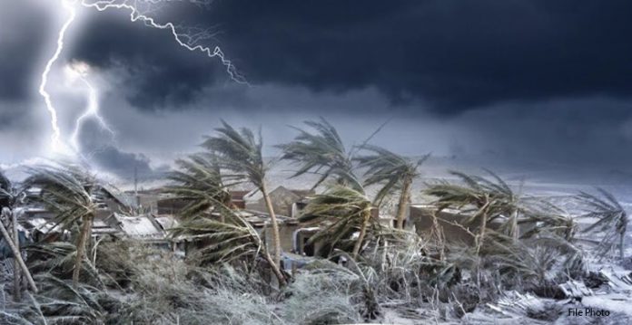 Cyclone Nivar Wreaks Havoc in Tamil Nadu and Puducherry; Uprooting Trees, Disrupting Power Supply