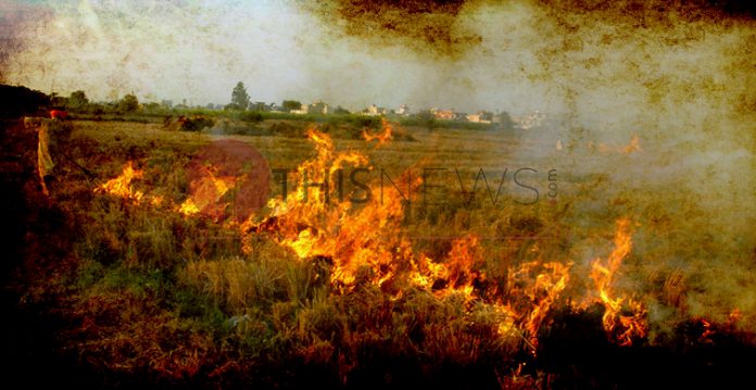 FIRs Lodged Against 2,000 farmers for Stubble Burning in UP
