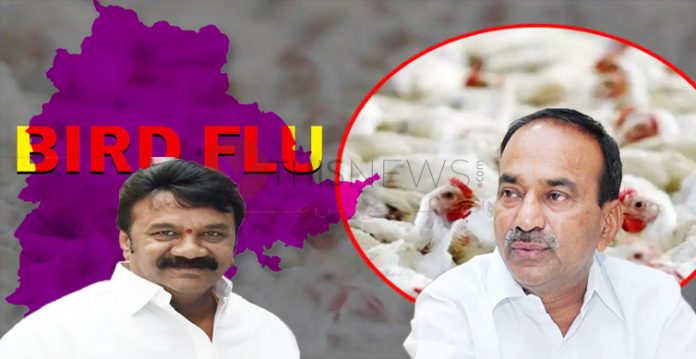 Avoid bird flu rumors, ts alert telangana ministers to public