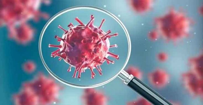 Different But Known Variant Of Coronavirus Found In Hyderabad