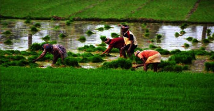 2.5 million up farmers to be linked to kisan credit card