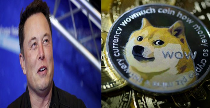 elon musk to extends support to meme based cryptocurrency dogecoin