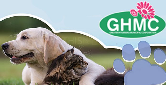 Ghmc To Conduct Pet Awareness Program For Pet Parents In Mhj On Feb 6