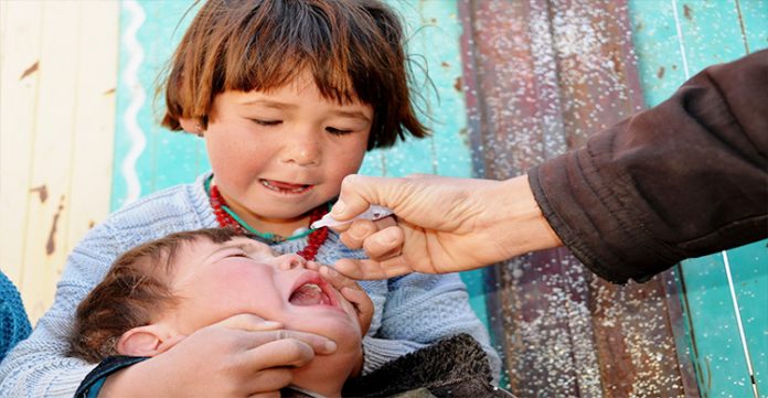 3 polio vaccination team members killed in afghanistan
