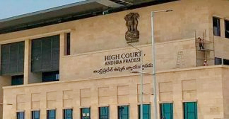 ap high court asks sec to declare unanimous election results