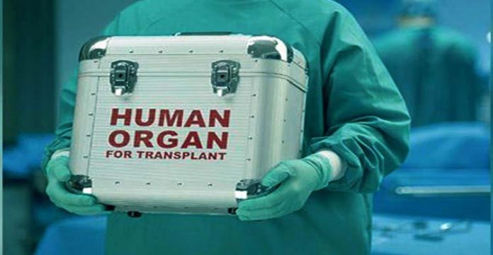 ts gets 4th place in human organ transplants