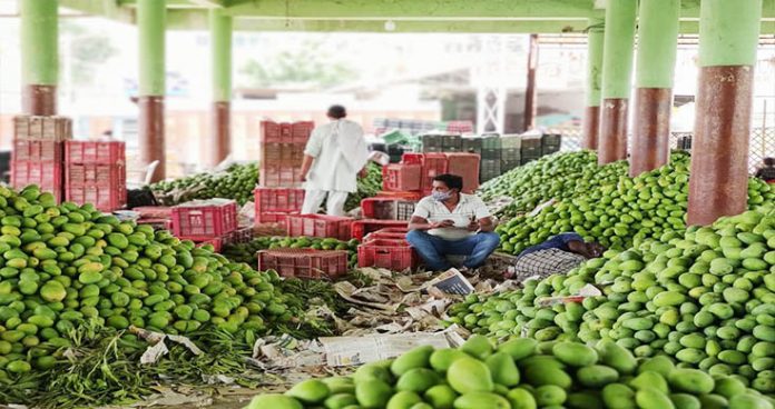 beware! mangoes in the markets may cost your health dearer