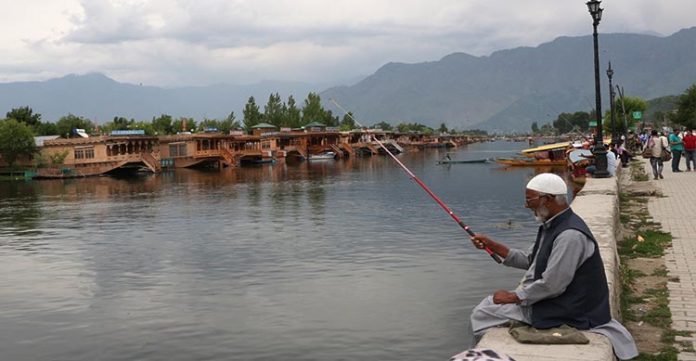 j&k fish farmer loses lakhs after his farm was poisoned