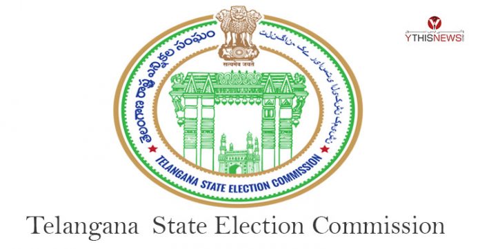 notification to hold municipal elections issued
