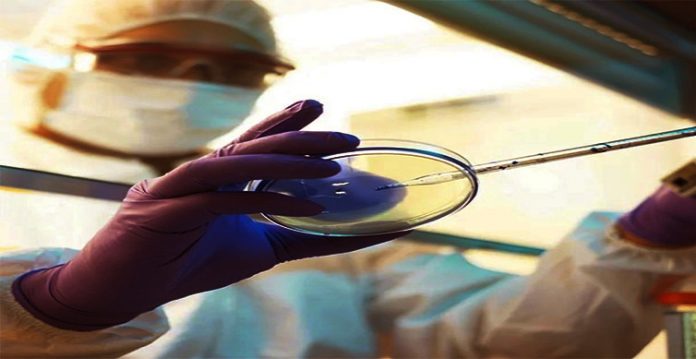 3 suspected deaths due to black fungus in bengal