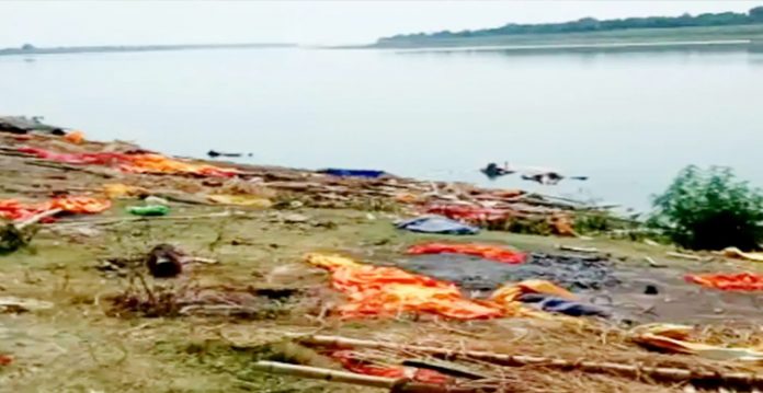 bollywood reacts to floating bodies in ganga; nearly 100 bodies found till now