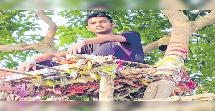 covid positive telangana youth spends 11 days on tree