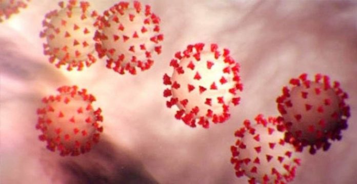 covid will be like endemic flu due to variants canadian expert