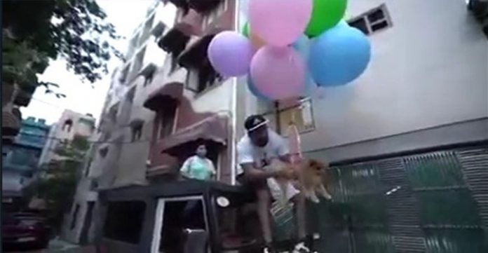 Delhi YouTuber Arrested For Flying Dog in the Air with Balloons