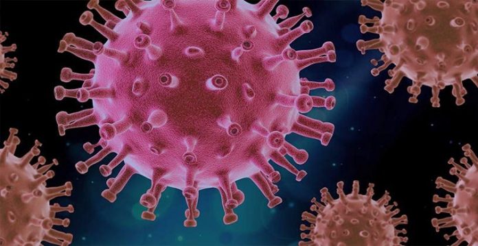 health start ups join the fight against covid