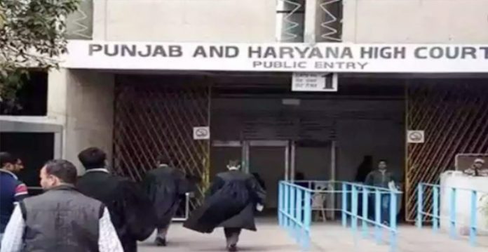 punjab hc says “live in relationships are socially and morally unacceptable”, rejects couple’s plea