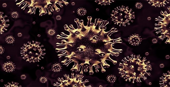 tamil nadu ropes in health experts to research on black fungus