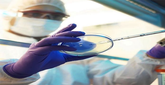 telangana declares mucormycosis a notifiable disease