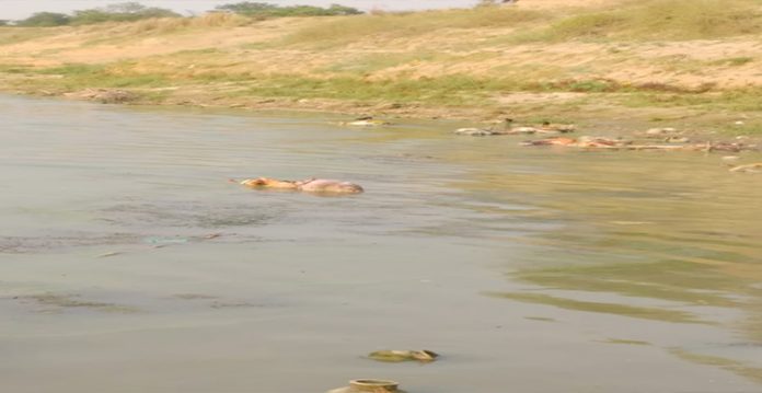 war of words between bjp and congress over bodies found in mp river