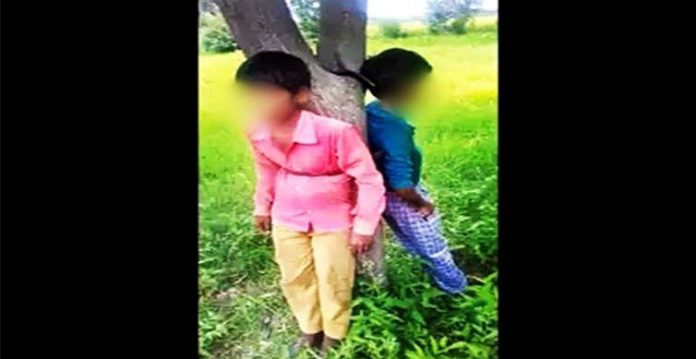 dalit boys tied to tree, beaten for plucking 'jamun'