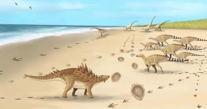 footprints of last dinosaurs walked 110m years ago in uk found