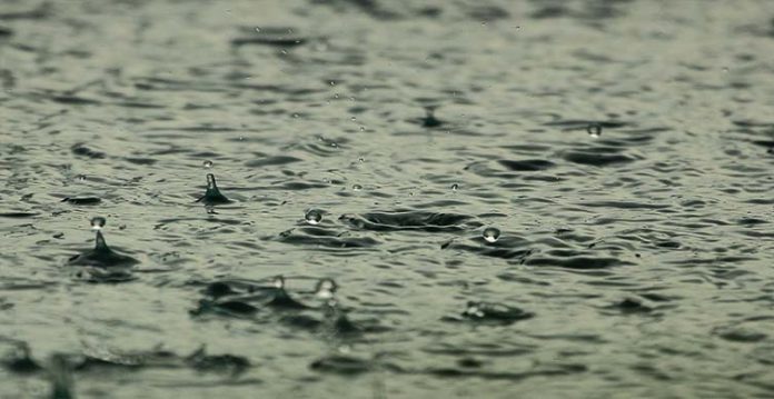 karnataka maharashtra form three tier water management committees to check floods