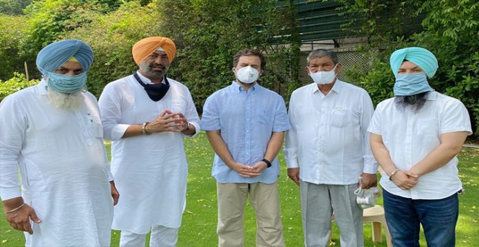 rebel aap mlas meet rahul gandhi in delhi, merge outfit