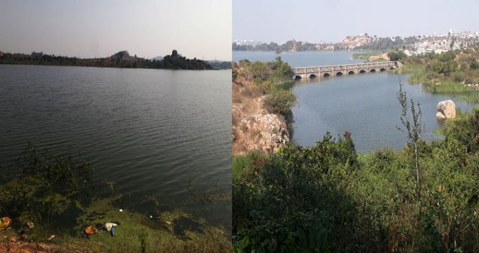 rock garden to dot jalpally lake as officials geared up to ground project