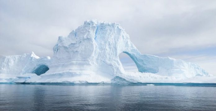 tackle biodiversity, climate crises together experts