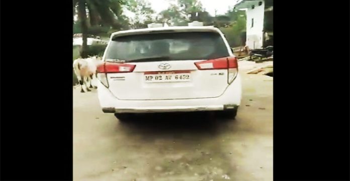 video of youths consuming alcohol in bjp minister's car goes viral; authentencity yet to be proved